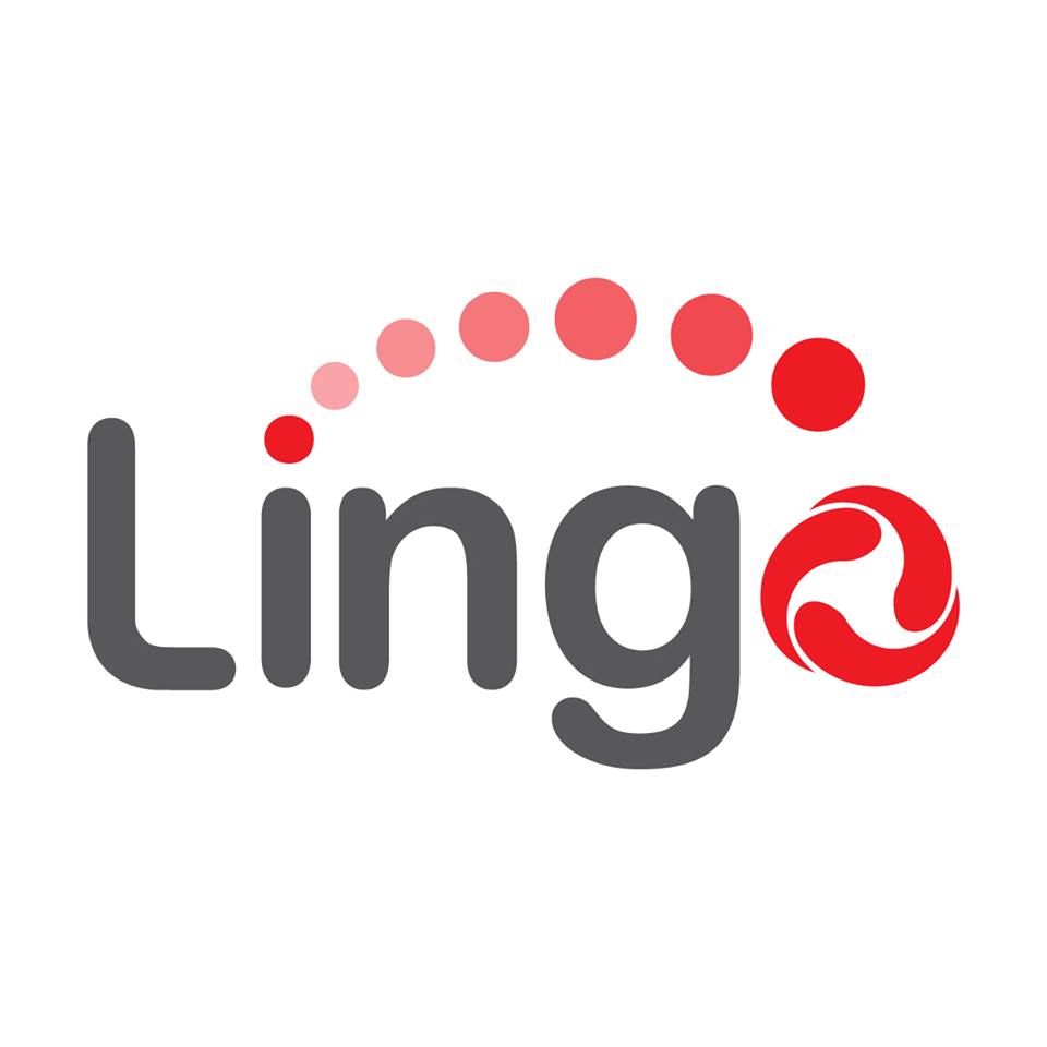 Công ty Cổ phần Thương mại Điện tử Lingo